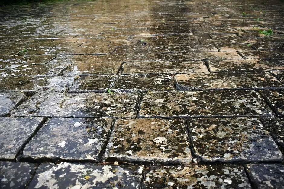 How to Tell When Your Patio Needs Repointing Services