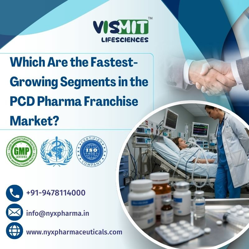 Which Are the Fastest-Growing Segments in the PCD Pharma Franchise Market?
