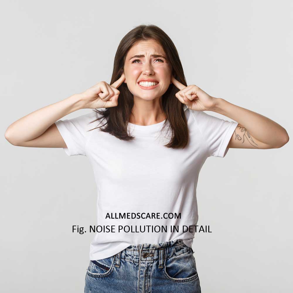 Noise Pollution- Meaning, Types, Effects and Prevention Ways
