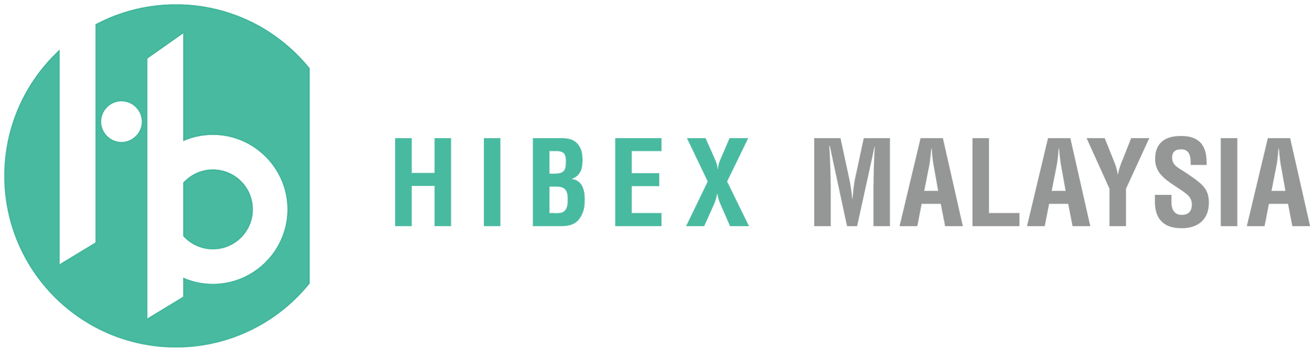 Semiconductor Equipment – Hibex